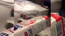 Uyuşturucu maddeyi süt ambalajlarında saklayan çeteye operasyon: 9 gözaltı