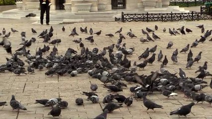 MHP'liler sokak hayvanlarına yem bırakıp kan bağışında bulundu