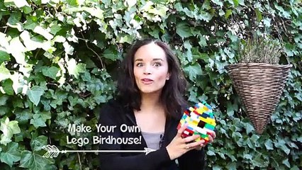 Build a Lego Birdhouse with Your Kids While Quarantining