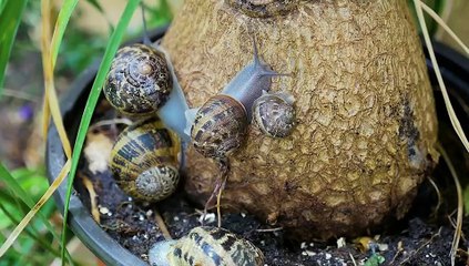 How to make better decisions?