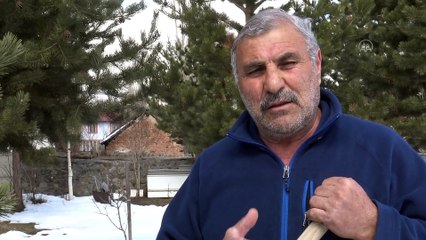 Sarıkamış martta beyaza büründü - KARS