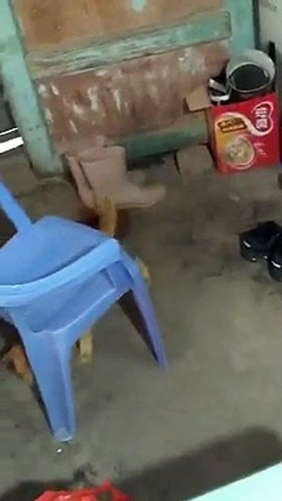 Cat and mouse