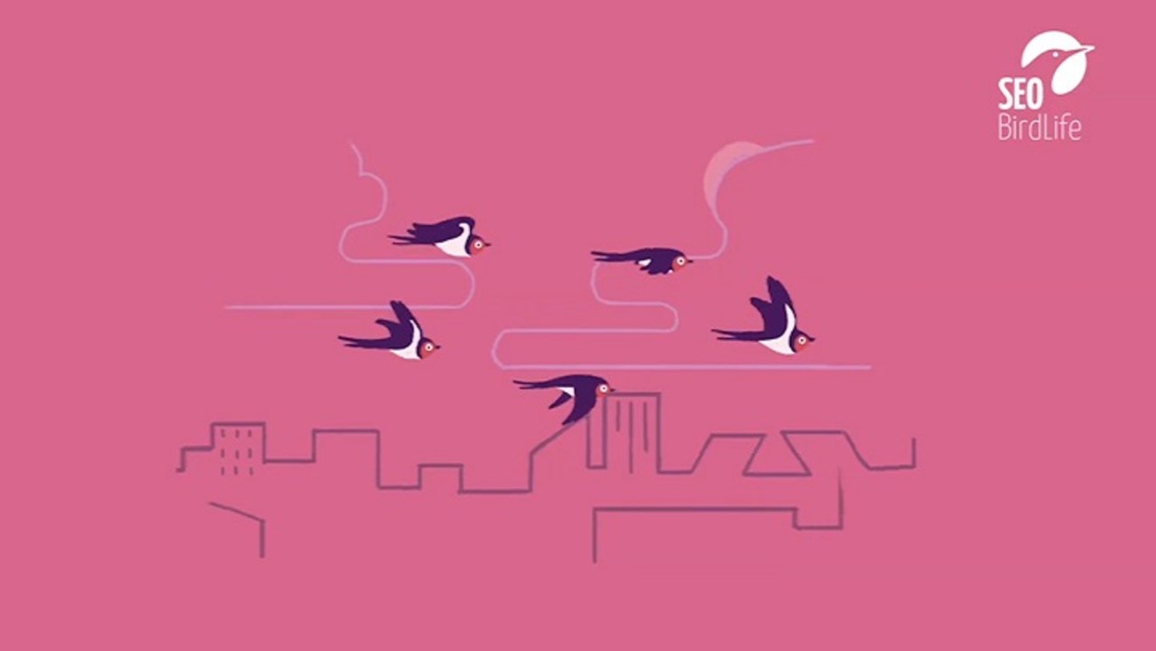 SEO/BirdLife lanza la campaña SOS Nidos