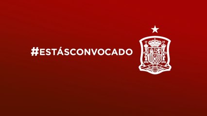 Selección convoca a españoles el día en el que se iba a jugar el España-Alemania