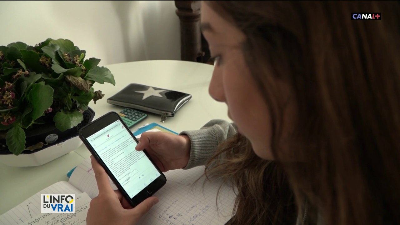 Pendant le confinement, douze millions d'élèves suivent les cours à la maison