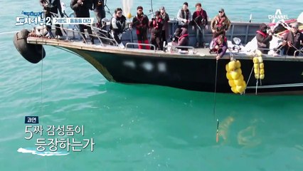 쏴리질러~ 킹진철! 갓진철!! 神진철!!! 감성돔 최대 기록 52cm를 넘을 수 있을까?