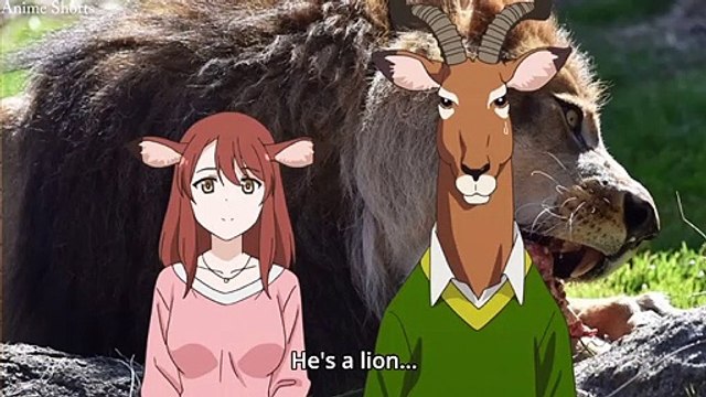 Lion meets with his girlfriend's parents | Murenase! Seton Gakuen (Seton Academy: Join the Pack!	)