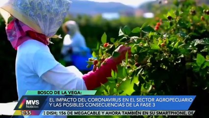 Impacto del coronavirus en el sector agropecuario