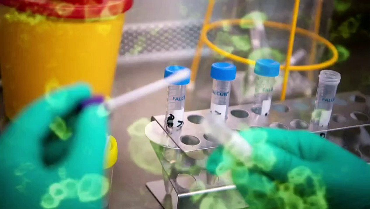 Corona Virus-The Silent Killer 2020