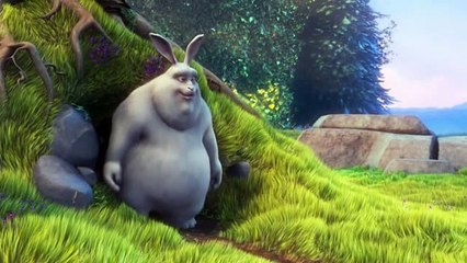 5 Lang: Italian | Cat: Education | Tags: Animals, Video 26/03