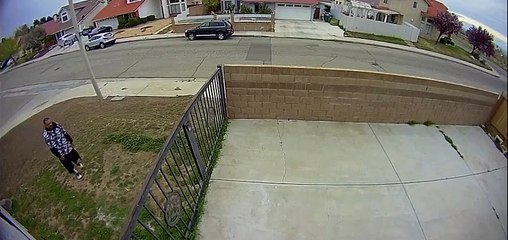 Total Stranger Takes a Tumble From Fence