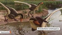 Newly Found Feathered Dinosaur Roamed New Mexico 67 Million Years Ago