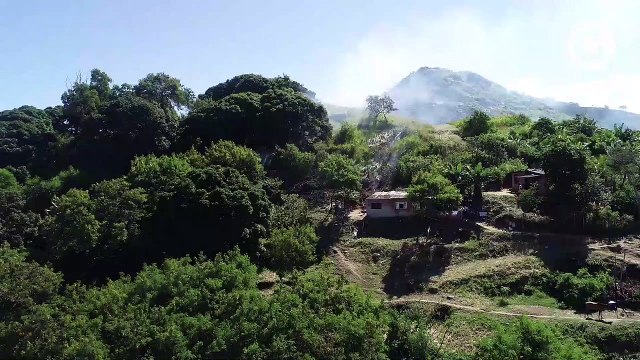 Imagens aéreas mostram incêndio em área de mata em Vitória