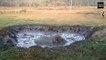 Un éléphanteau piégé dans la boue sauvé par une pelleteuse