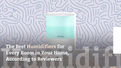 The Best Humidifiers for Every Room in Your Home, According to Reviewers