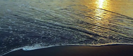 Nil Doriya (নীল দরিয়া) - Bohubrihi (বহুব্রীহি) the Band - Cover song