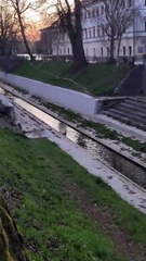 Man Washes Up in Creek Due to Toilet Paper Shortage