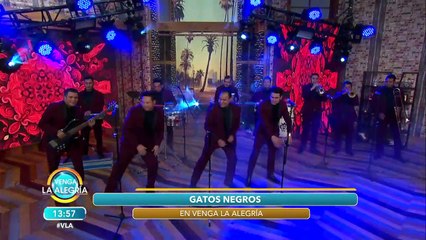 Brandon Peniche llegó igual que nuestros invitados musicales "Gatos hermanos". | Venga La Alegría