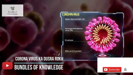 Coronavirus ka Dusra Rukh - 2nd Perhaps of Coronavirus in Our Society - Bundles Of Knowledge