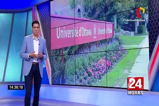 Llamas tienen anticuerpos que podrían acabar con el coronavirus