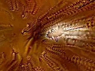 Adagio sostenuto assai