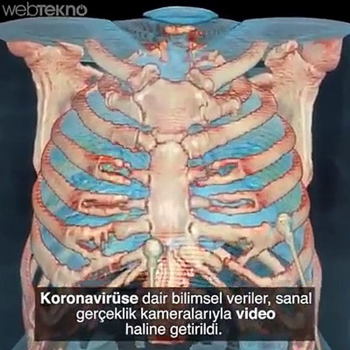 Koronavirusün akciğerlerde yaptığı hasar‼