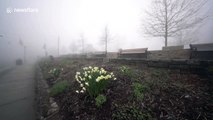 North Carolina mountain town, normally bustling with tourists, is empty amid fog and coronavirus concerns