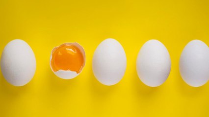 Can You (And Should You) Freeze Eggs?