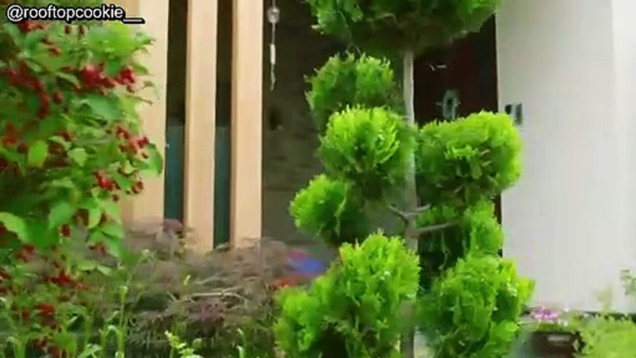 (ENG) All Relationships In The World Season 3 - Long-Distance Relationship EP5