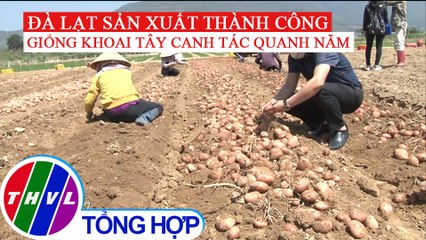 Đà Lạt sản xuất thành công giống khoai tây canh tác quanh năm