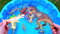 Dinosaurs for kids, Dinosaurs Find Baby Mom, Jurassic World Dinosaur Toys Kids