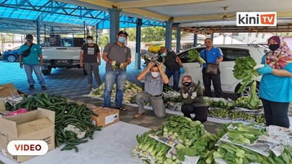 Petani Cameron Highlands sumbang sayur pada golongan memerlukan