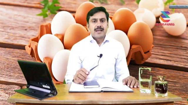 How to start Dasi Murgi farming Part 02 (complete information about poultry farming)