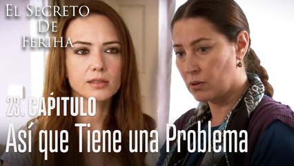 Así que tiene un problema - El Secreto De Feriha Capítulo 23
