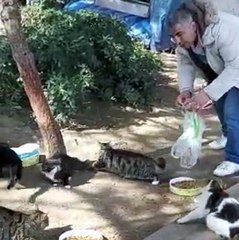 Hayvansever, sokak hayvanlarını beslemek için evinden çıktı