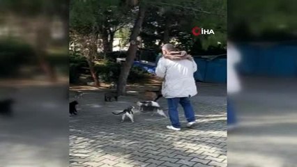 Hayvansever, sokak hayvanlarını beslemek için evinden çıktı