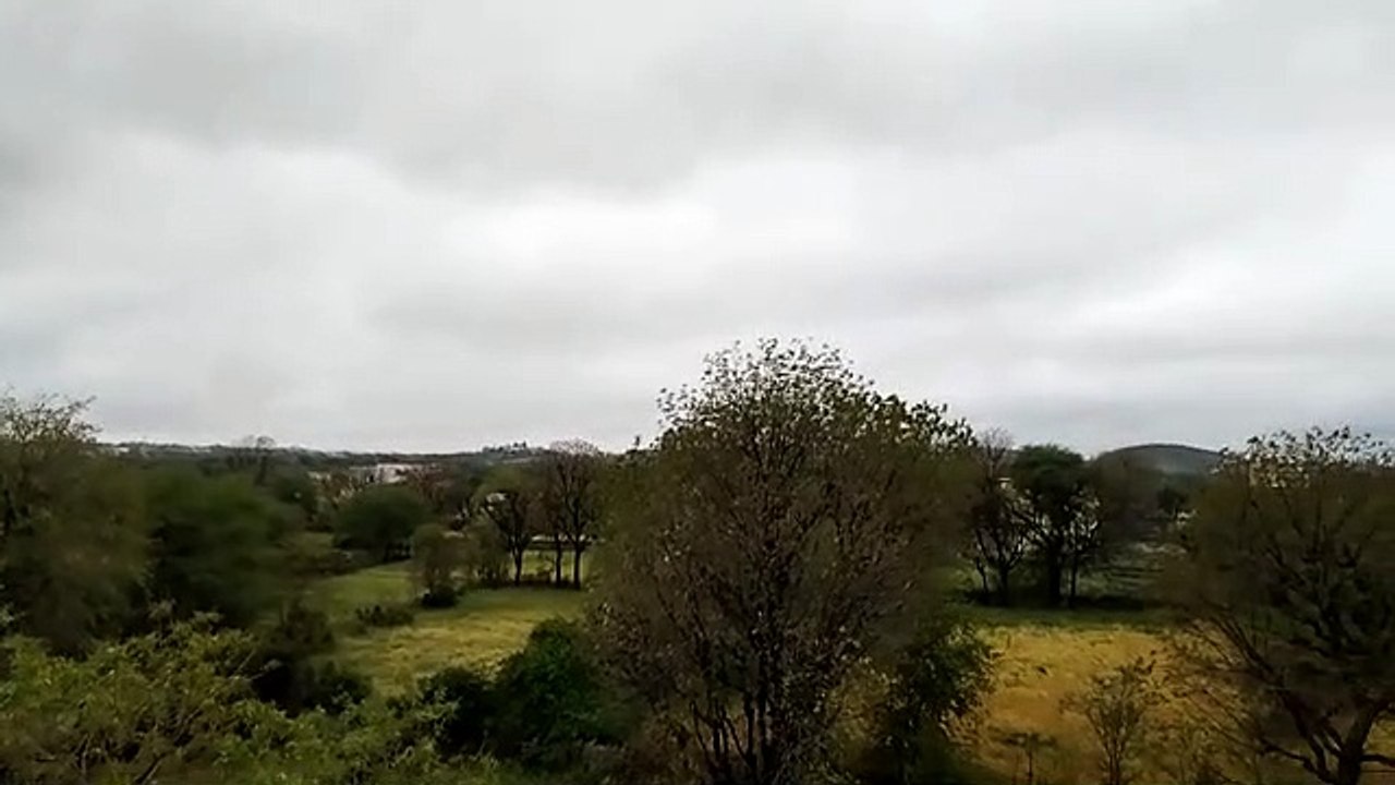 Rain