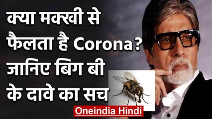 Coronavirus:Amitabh Bachchan बोले-  मक्खी से फैलता है Corona,जानिए क्या है हकीकत | वनइंडिया हिंदी