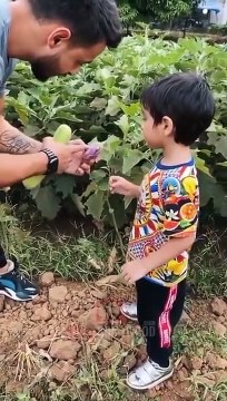 Salman Khan, Ahil Sharma and Aayush Sharma Farming - CUTEST VIDEO - Panvel Farmhouse