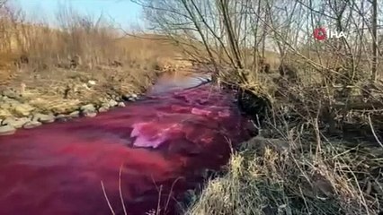 Kanada'da Mississauga kentindeki nehir kırmızıya büründü