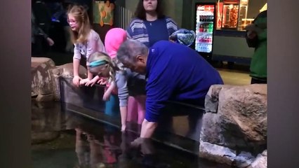 Funny Kids at the Aquarium _ Girl SPOOKED By A Beluga Whale!