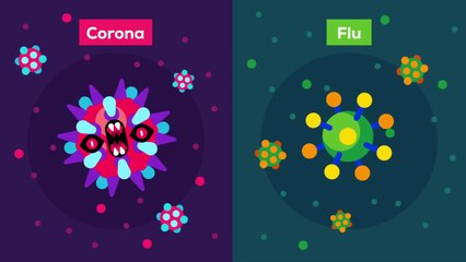 The Coronavirus Explained & What You Should Do