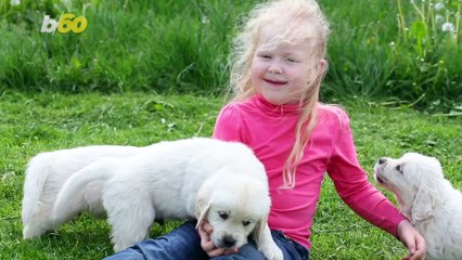 COVID-19 Won't Last Forever! How to Prep Your Dog for When Your Family Goes Back to Work and School
