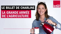 Pour la santé économique, ramassez 500 fruits et légumes par jour ! Le billet de Charline
