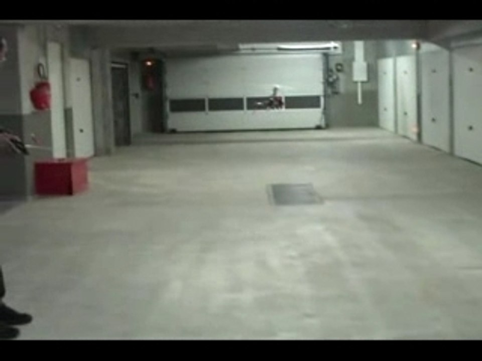 Honey bee king2 carbon edition test 1