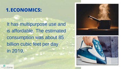 Significant Reasons For  Natural Gas Use In The United States