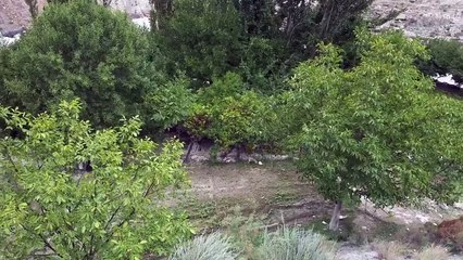 Hopper Glacier & Nagar: Hunza Valley's Hidden Gem