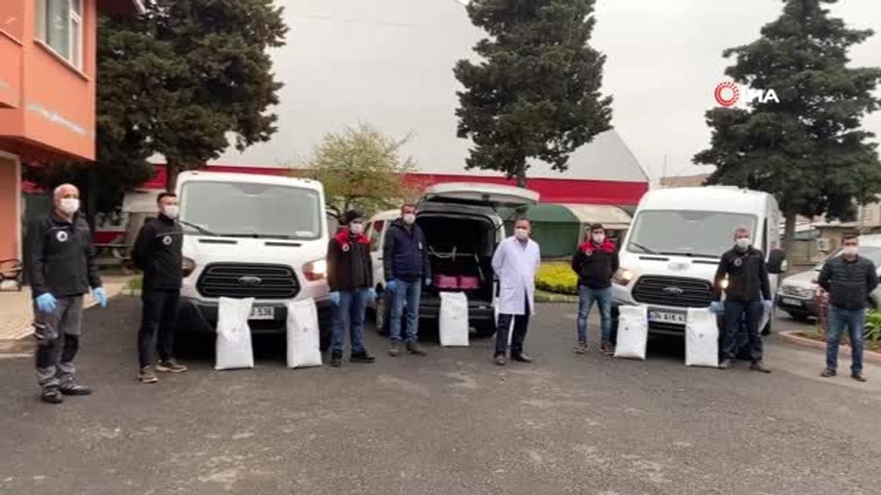 Kartal Belediyesi, sokak hayvanlarının yanında