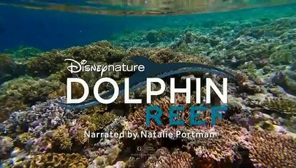 Trialer de 'Elephant' de Disney con la voz de Meghan Markle