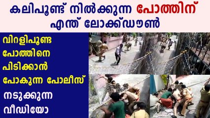 പോത്തിനെ ഒക്കെ എങ്ങനെ ലോക്ക്ഡൗൺ ചെയ്യാനാ | Oneindia Malayalam